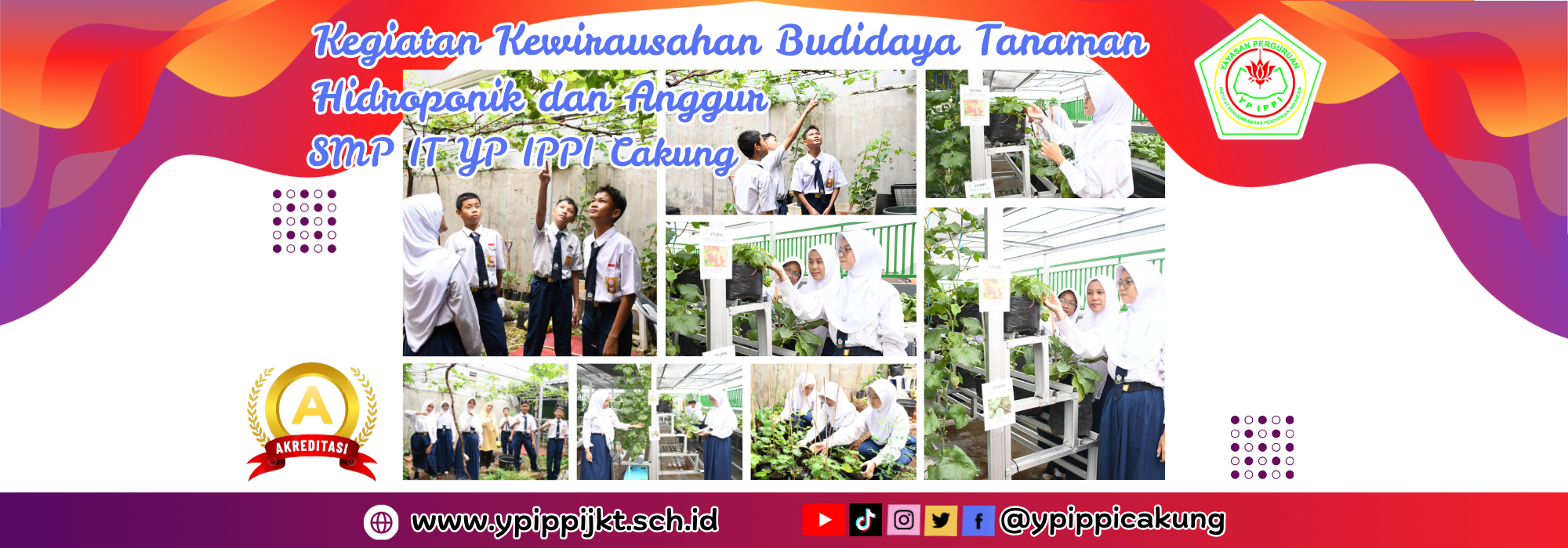 Kegiatan kewirausahaan budidaya tanaman hidroponik dan anggur SMPIT YP IPPI Cakung